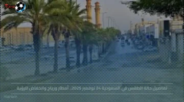 حالة الطقس في السعودية اليوم 24 نوفمبر 2025: أمطار ورياح وانخفاض الرؤية مباشر